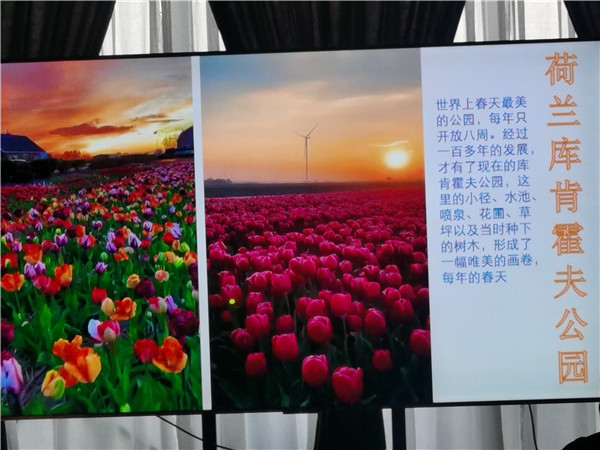 四川中青旅绵(mián)阳分社(shè)独家定(dìng)制(zhì)圆梦欧洲系列 - 大全景(jǐng) 9 国(guó) 16 天 德国-法国-瑞(ruì)士-意大利-奥地利(lì)-荷(hé)兰(lán)-比利时(shí)-列支敦士(shì)登-卢森堡